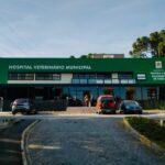 Hospital Veterinário Municipal de Curitiba chega próximo à marca de 60 mil atendimentos.