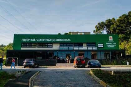 Hospital Veterinário Municipal de Curitiba chega próximo à marca de 60 mil atendimentos.