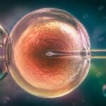 Reprodução assistida é impulsionada pelo boom demográfico, adiamento da maternidade e novas configurações familiares.